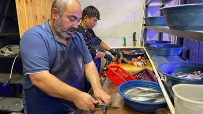 Balık sezonu bereketli başladı