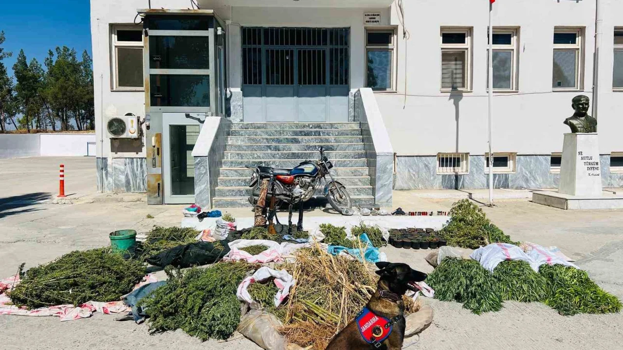 Şanlıurfa’da uyuşturucu operasyonu: 3 gözaltı