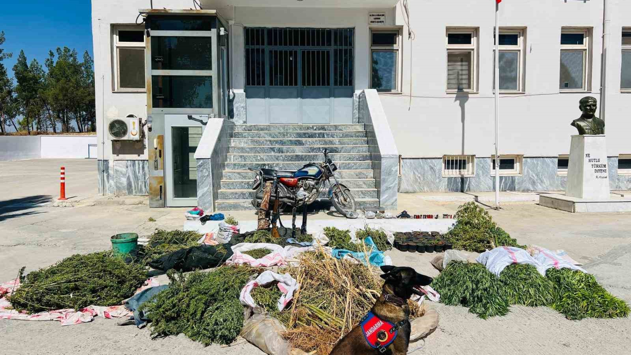 Şanlıurfa’da uyuşturucu operasyonu: 3 gözaltı