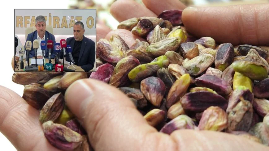 Eyyüpoğlu: Fıstık ithalatında çiftçinin dayanacak gücü kalmaz