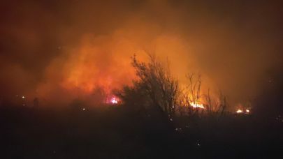 Makilik yangını söndürüldü