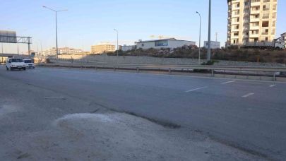 Ahırdan kaçan buzağı, kara yoluna çıkınca sürücülere zor anlar yaşattı