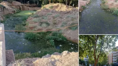 Eroğlu, DSİ’yi hedef gösterdi: Bu görüntü kime ait ?