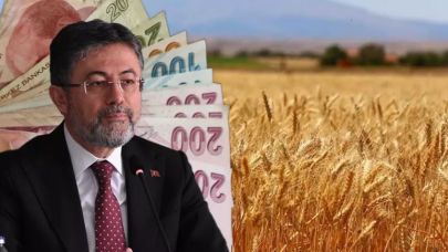 Şanlıurfalı çiftçilere müjde: Desteklemeler hesaplara aktarılıyor