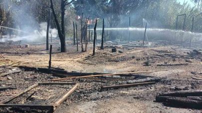 Tarım işçilerinin kaldığı 4 çadır yandı