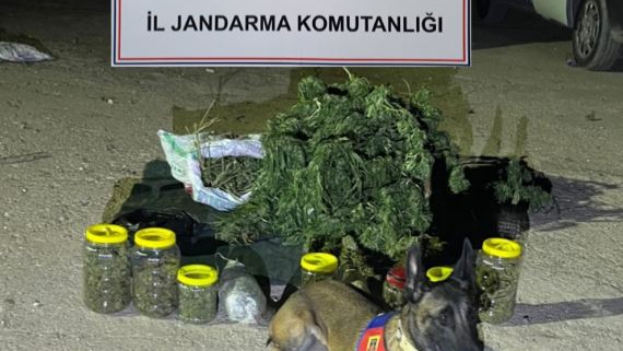 Viranşehir’de uyuşturucu operasyonu