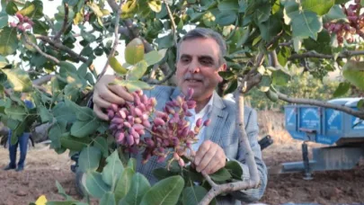 Şanlıurfa ve Türkiye'de gündem: Fıstık
