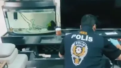 Şanlıurfa’da operasyon
