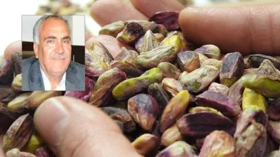 ‘Bir AK Partili olarak fıstık üreticilerinin yanında konuşamıyoruz’