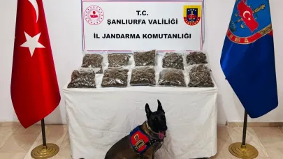 Şanlıurfa’da uyuşturucu operasyonu: 1 gözaltı