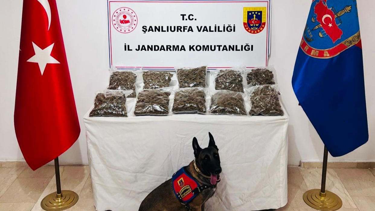 Şanlıurfa’da uyuşturucu operasyonu: 1 gözaltı