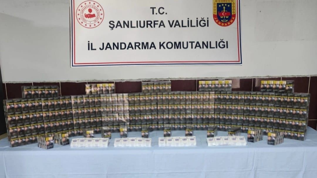 Jandarma bin 320 paket kaçak sigara ele geçirdi