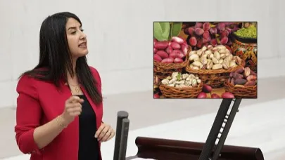 Şanlıurfa fıstığı, TBMM’nin gündeminde