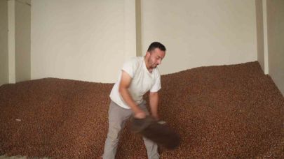 Tüccarlar fındık fiyatı konusunda farklı görüşte