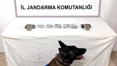 Jandarmadan uyuşturucu operasyonu