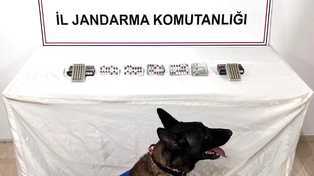 Jandarmadan uyuşturucu operasyonu