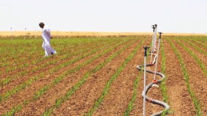 Gerçek pay küçük, hissedilen yük büyük