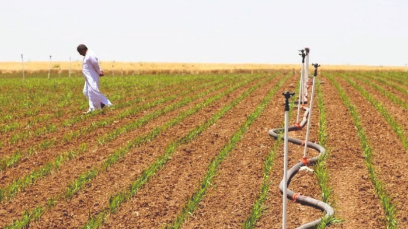 Gerçek pay küçük, hissedilen yük büyük