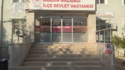 Ağaçtan düşen muhtar ağır yaralandı