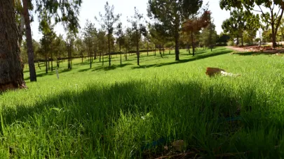 Osmanbey Kampüsü Dünya’nın en güzel kampüsü olma yolunda