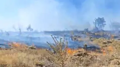 Sincik ilçesinde korkutan orman yangını
