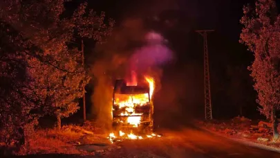 Park halindeki kamyon cayır cayır yandı