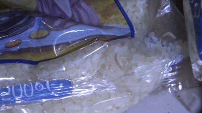 Zabıta denetiminde kurtlanmış ve böceklenmiş ürünler ele geçirildi