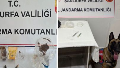 Viranşehir ve Suruç’ta uyuşturucu operasyonu