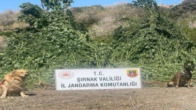 11 milyon liralık kaçakçılık olayı önlendi