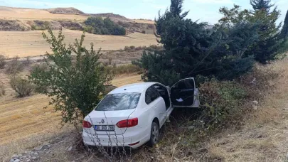 Otomobil şarampole yuvarlandı: 2 yaralı
