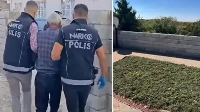 Suruç’ta uyuşturucu operasyonu (VİDEO)