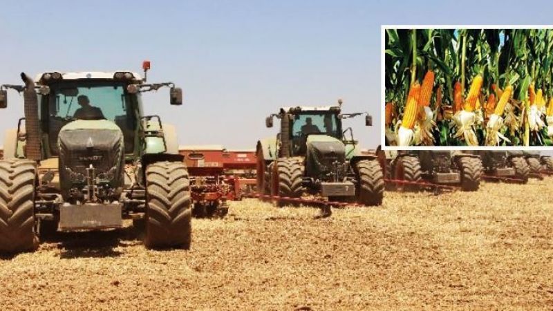 Urfa’da ikinci ürünün ekimine başlandı