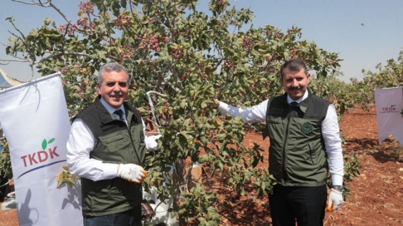 2022 'Urfa Keten köyneği' hatırası