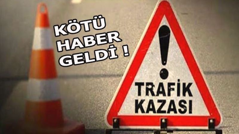 Yolu geçmek isterken minibüs çarpmıştı