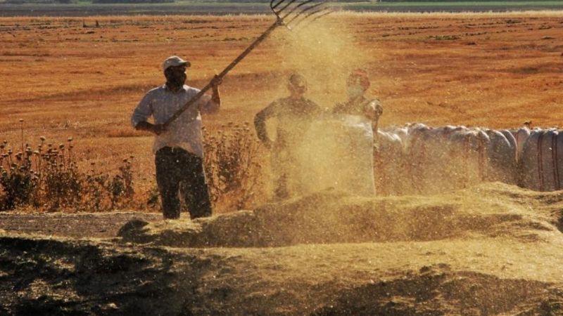 Tarımsal girdi fiyat endeksi bir yılda yüzde 112,41 arttı