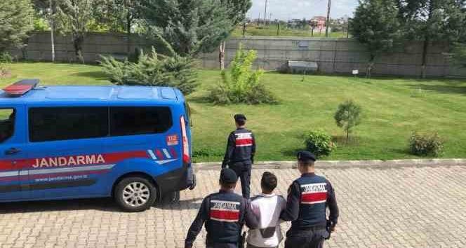 Diyarbakır'da kesinleşmiş hapis cezası bulunan 7 hükümlü yakalandı