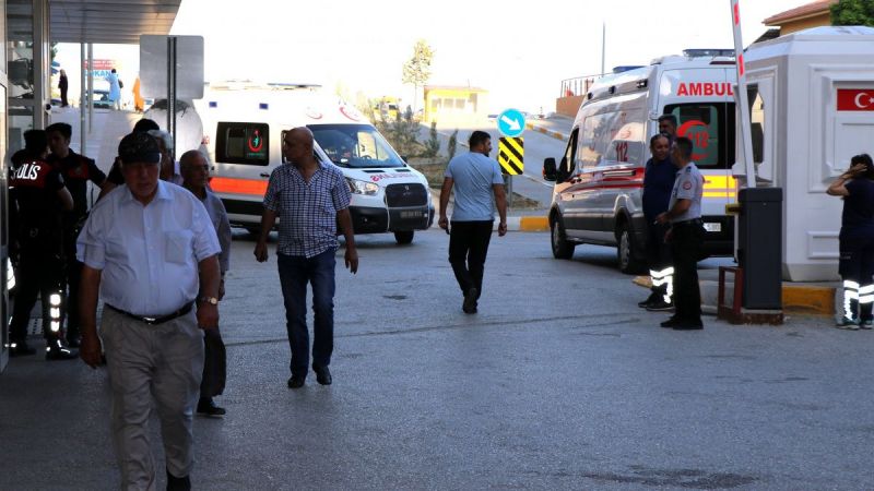 Arı sokmasına bağlı ciddi alerjik reaksiyonlar ölüme sebep olabilir
