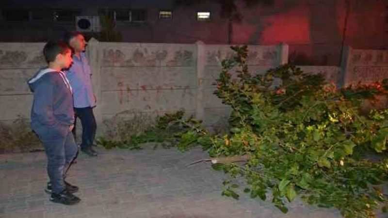Sokağa devrilen ağaç itfaiye ekipleri tarafından kaldırıldı