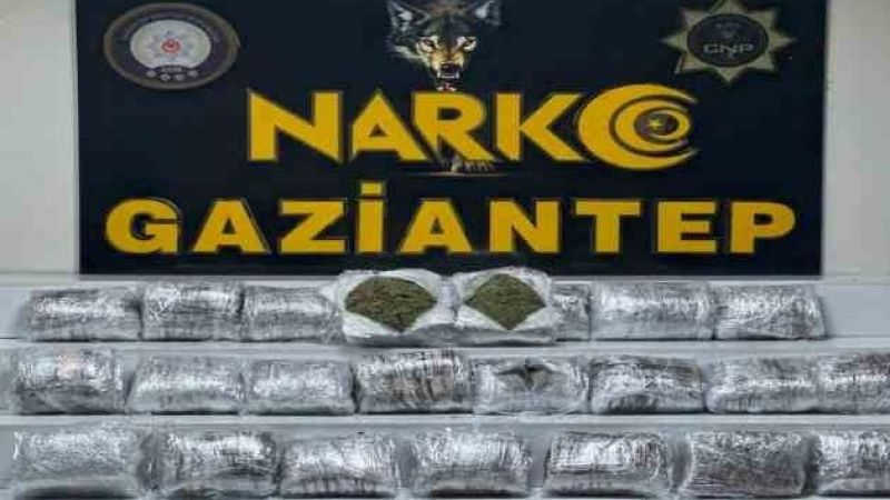 24 kilo skunk ele geçirildi