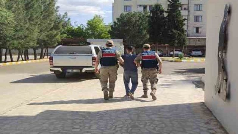 Firari hükümlü jandarma ekipleri tarafından yakalandı