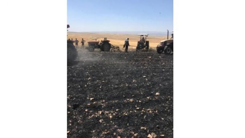 Biçerdöverden yangın çıktı! Buğday tarlasını küle çevirdi