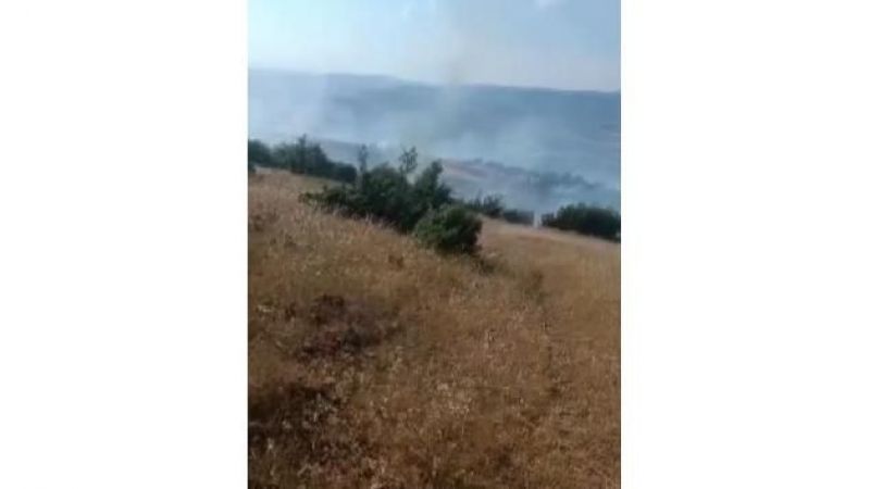 Orman ve örtü yangını
