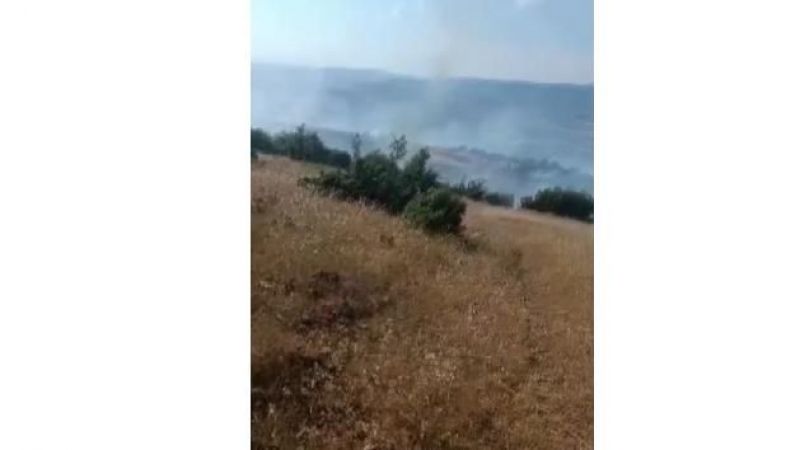 Orman ve örtü yangını