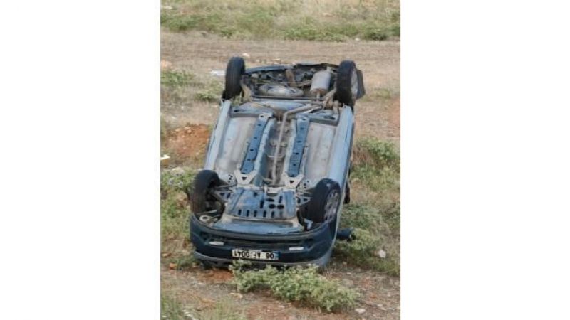 Yola çıkan köpek kazaya neden oldu: 1 ölü, 2 yaralı