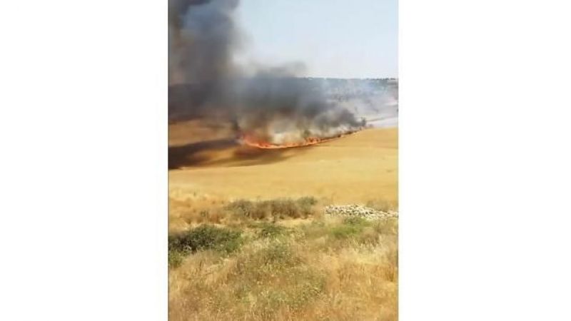 130 dönümlük buğday tarlası küle döndü