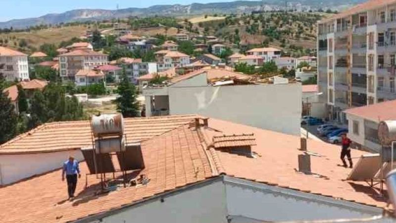 Kekliği çatıda kovaladılar