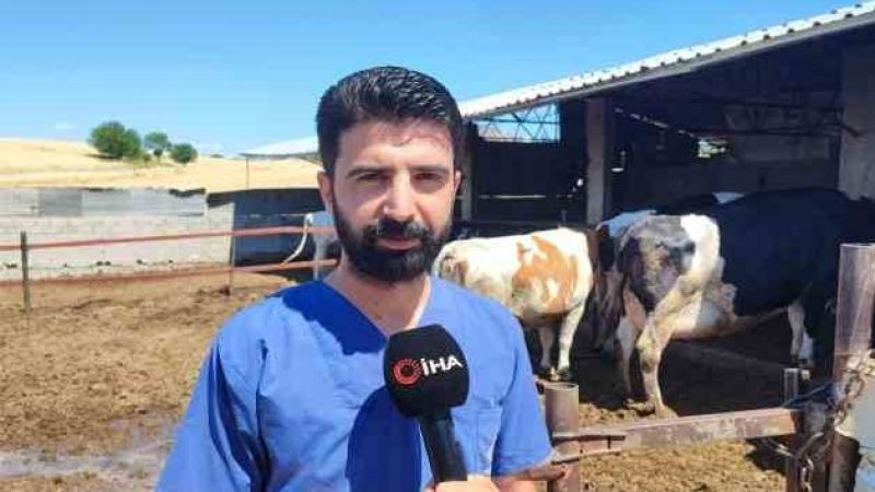 Kurbanlık alacaklara tüberküloz uyarısı