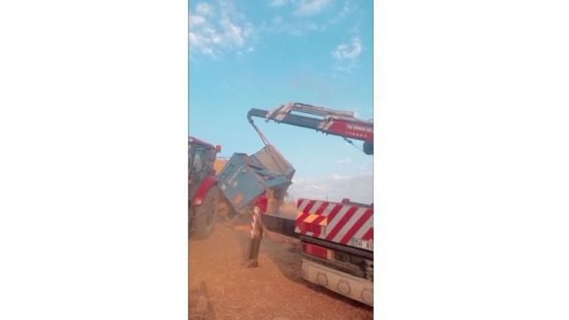 Römork devrildi, buğday tarlaya savruldu