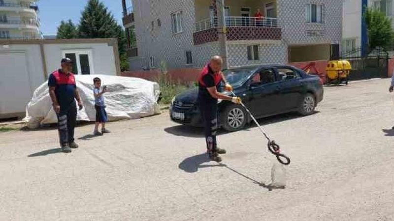 Evin bahçesine giren yılan yakalandı