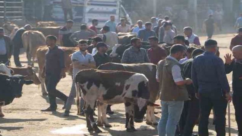 İşin ehlinden acemi kasap uyarısı